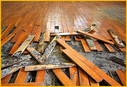 Fort Lauderdale Emergency Restoration Fort Lauderdale, FL 954-368-9737 Fort Lauderdale Emergency Restoration Fort Lauderdale, FL 954-368-9737 - city-img